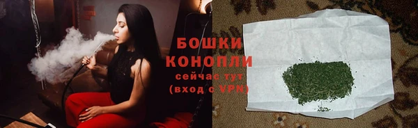 таблы Новозыбков