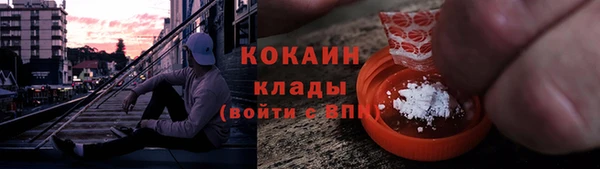 таблы Новозыбков