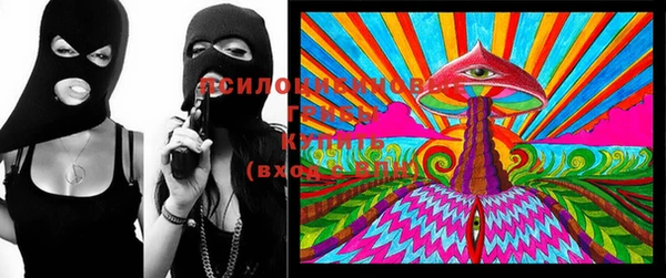 MDMA Новодвинск