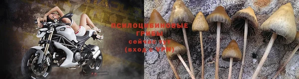 таблы Новозыбков