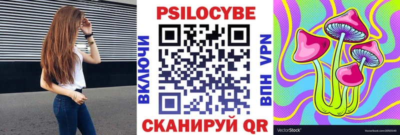 Псилоцибиновые грибы Psilocybe  Нефтегорск 